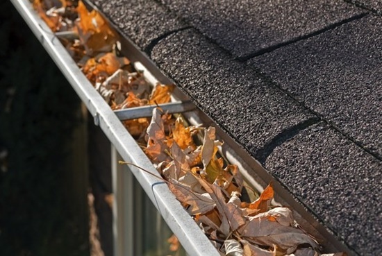 Keep your gutters clean to reduce Water damage Sydney