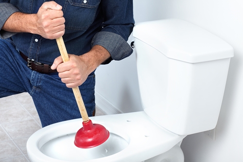 most ordinary plumbing problems - Clogged Toilet