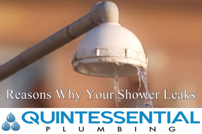 Reasons Why Your Shower Leaks