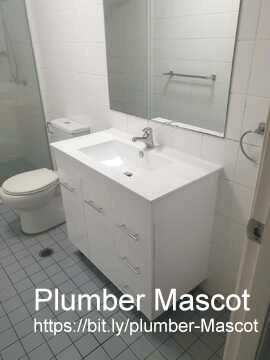 Mascot plumber